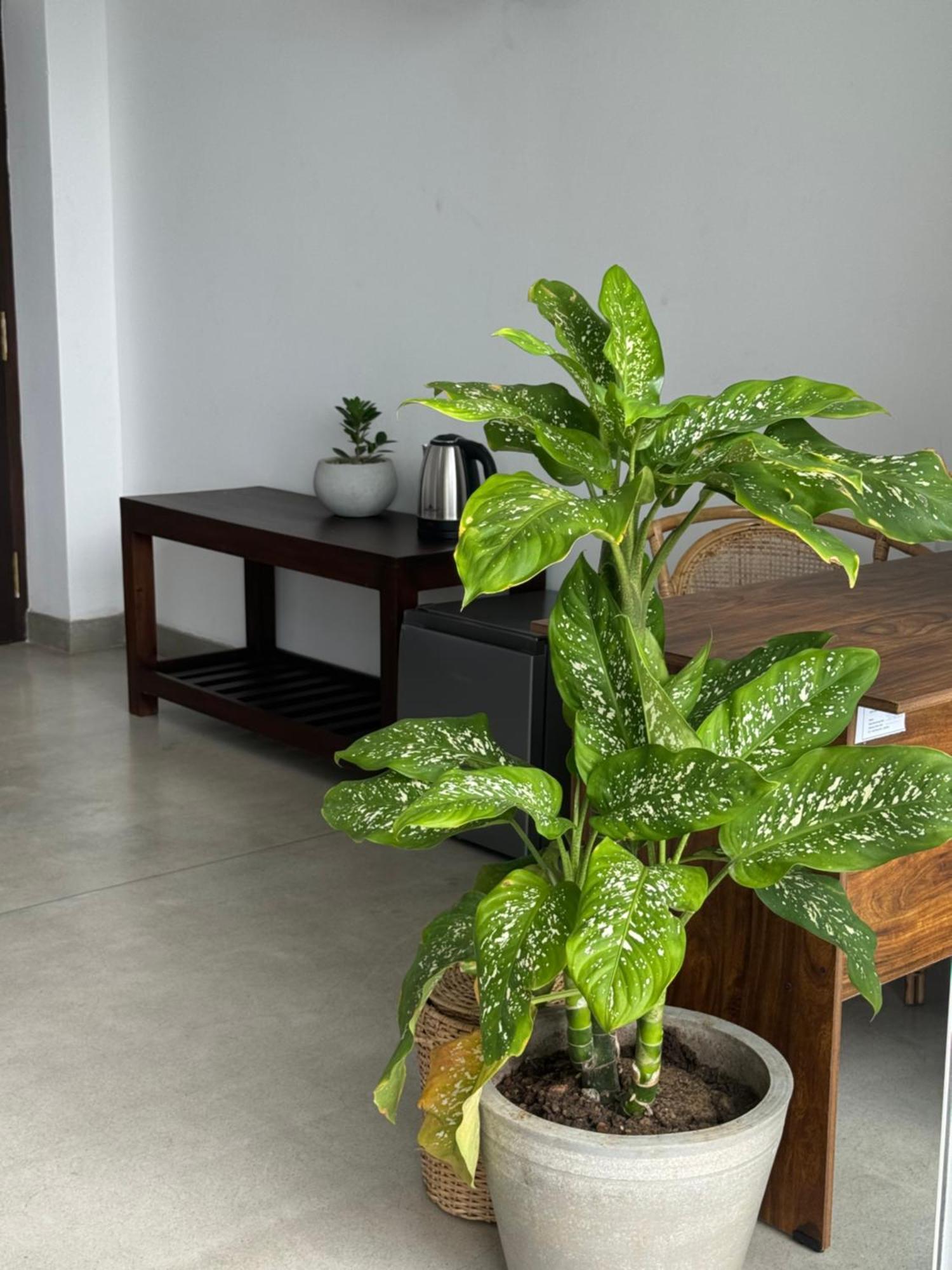 Sapiens Home - Weligama Bay エクステリア 写真
