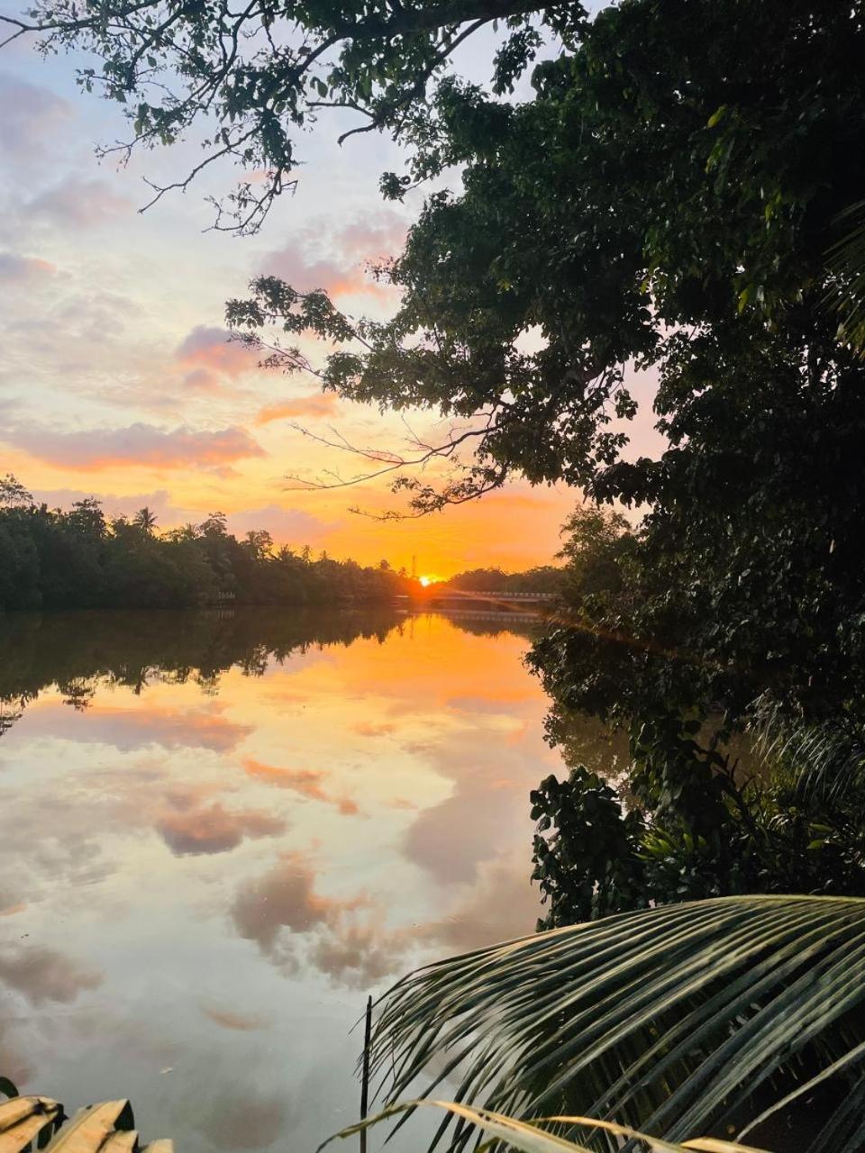 Sapiens Home - Weligama Bay エクステリア 写真