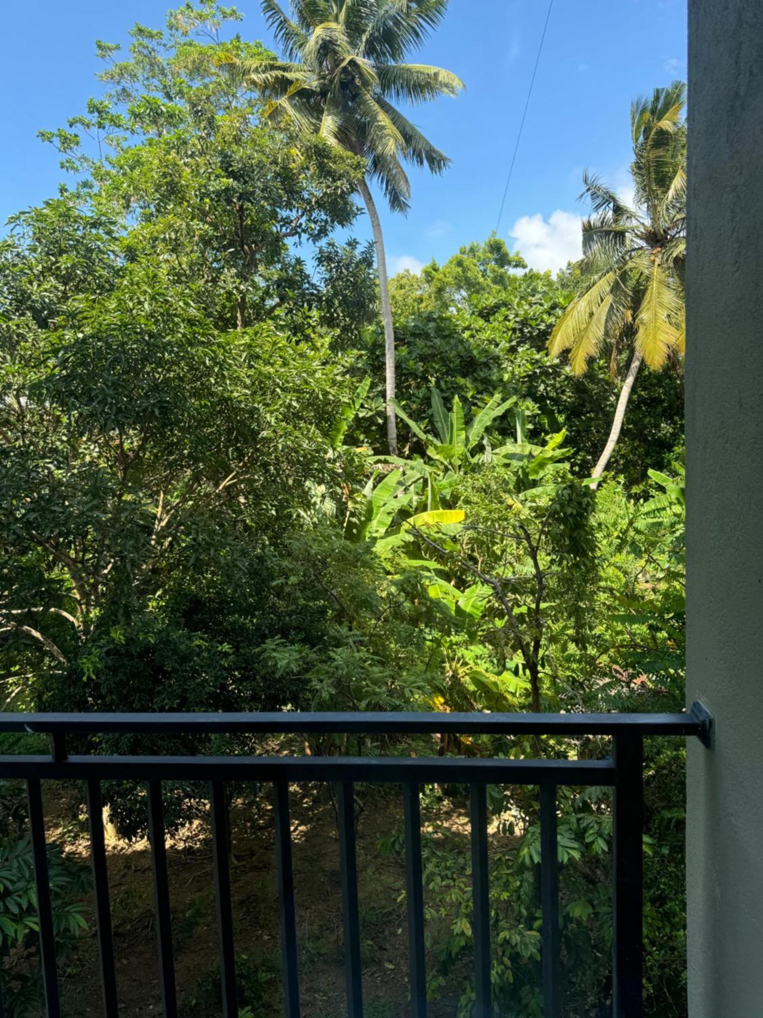 Sapiens Home - Weligama Bay エクステリア 写真