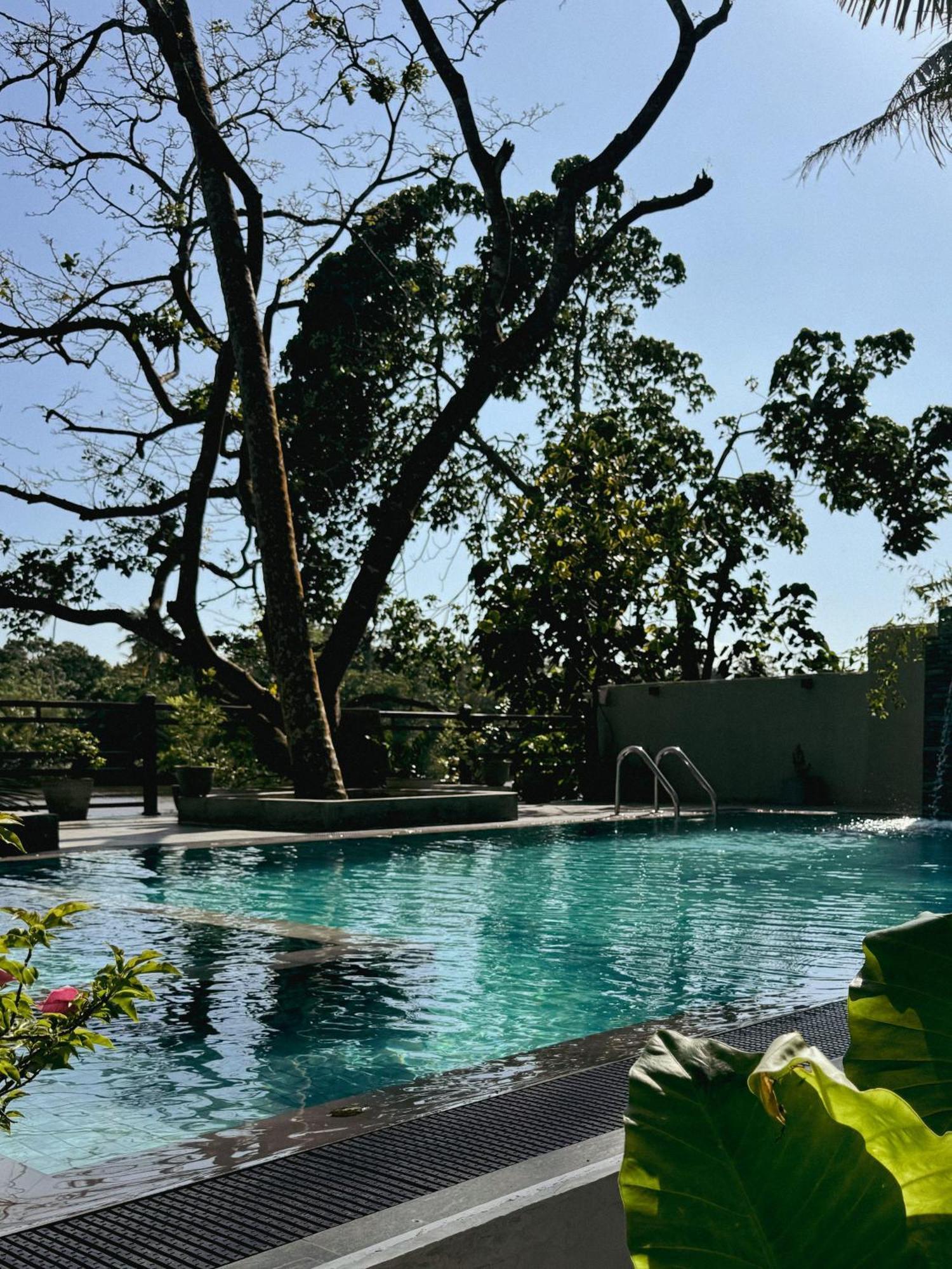 Sapiens Home - Weligama Bay エクステリア 写真