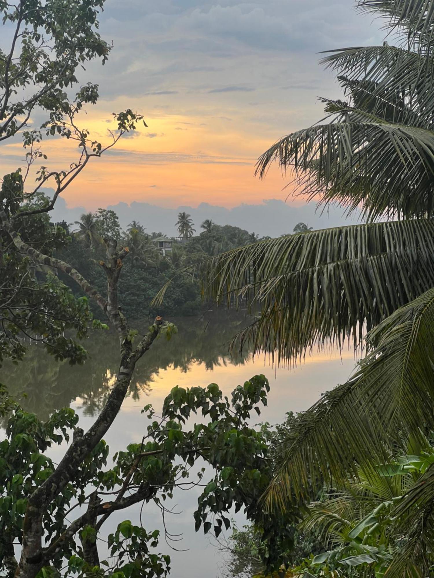 Sapiens Home - Weligama Bay エクステリア 写真